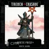 Описание картинки Heretic Priest от Age of Printmar по цене 96руб | Свободный Рынок Миниатюр - СРМ - изображение - №2