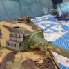 Описание картинки Радиоуправляемый танк King Tiger в масштабе 1:16 от Эктелион по цене 18 000руб | Свободный Рынок Миниатюр - СРМ - изображение - №3