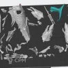 Описание картинки Akhelian Allopex от White Rhino по цене 1 199руб | Свободный Рынок Миниатюр - СРМ - изображение - №2