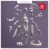 Описание картинки Khessida, Mistress of Flesh от WebWay 3D по цене 450руб | Свободный Рынок Миниатюр - СРМ - изображение - №4
