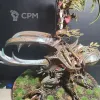 Описание картинки Alarielle the Everqueen от Harvest по цене 100руб | Свободный Рынок Миниатюр - СРМ - изображение - №4