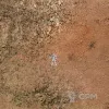 Описание картинки Игровое поле Dry riverbed bd019 60"х44" от WargamePrint по цене 2 450руб | Свободный Рынок Миниатюр - СРМ - изображение - №4