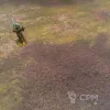 Описание картинки Игровое поле Трава bm019 60"х44" от WargamePrint по цене 2 450руб | Свободный Рынок Миниатюр - СРМ - изображение - №6