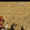 Описание картинки Игровое поле "Wasteland" bm023d 6'х4' от WargamePrint по цене 3 450руб | Свободный Рынок Миниатюр - СРМ - изображение - №8