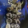 Описание картинки Paladin Squad с героями и дредом от 3D Shop  по цене 4 000руб | Свободный Рынок Миниатюр - СРМ - изображение - №2