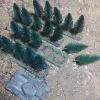 Описание картинки Еловая аллея/лесопосадка, 4 сегмента 20*5см, ельник съёмный на магнитах ещё готовый терейн от V130177@mail.ru по цене 1 250руб | Свободный Рынок Миниатюр - СРМ - изображение - №2