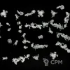 Описание картинки Eradicators with Heavy Bolters armageddon от Логово Каракатицы  по цене 100руб | Свободный Рынок Миниатюр - СРМ - изображение - №2