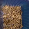 Описание картинки Neophyte Hybrids *28 парней от Rauch по цене 5 000руб | Свободный Рынок Миниатюр - СРМ - изображение - №4