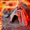 Описание картинки Адские/оккультные тенты. Террейн для НРИ, ДнД от Big Brain Terrain по цене 755руб | Свободный Рынок Миниатюр - СРМ - изображение - №2