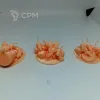 Описание картинки Крысиный поток от Орки с наГорки по цене 500руб | Свободный Рынок Миниатюр - СРМ - изображение - №2