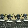 Описание картинки Wolf Guard Terminators от Etogetto по цене 100руб | Свободный Рынок Миниатюр - СРМ - изображение - №7