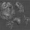 Описание картинки Rotigus (скан) от WAAAAAAGHshop по цене 1 800руб | Свободный Рынок Миниатюр - СРМ - изображение - №2