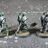 Описание картинки Necrons Lychguard I от Каджит по цене 5 498руб | Свободный Рынок Миниатюр - СРМ - изображение - №5