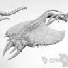 Описание картинки Screamers of Tzeentch от Naggaroth Night по цене 400руб | Свободный Рынок Миниатюр - СРМ - изображение - №10