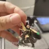 Описание картинки Rangers от The Rogue trader по цене 3 000руб | Свободный Рынок Миниатюр - СРМ - изображение - №3