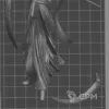 Описание картинки Ctan shard of the nightbringer (скан) от WAAAAAAGHshop по цене 600руб | Свободный Рынок Миниатюр - СРМ - изображение - №2
