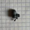 Описание картинки Правая рука с подвеской Кровавых Ангелов деталь см от Orc по цене 36руб | Свободный Рынок Миниатюр - СРМ - изображение - №2