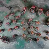 Описание картинки Stormcast Eternals Painted Army от Каджит по цене 44 998руб | Свободный Рынок Миниатюр - СРМ - изображение - №2
