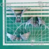 Описание картинки Warp Talon wings от Стальные Небеса по цене 95руб | Свободный Рынок Миниатюр - СРМ - изображение - №2