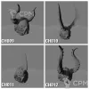 Описание картинки CSM Helmets v1 от Стальные Небеса по цене 240руб | Свободный Рынок Миниатюр - СРМ - изображение - №3