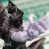 Описание картинки Night Lords two pairs Claws v2 от Стальные Небеса по цене 200руб | Свободный Рынок Миниатюр - СРМ - изображение - №8