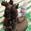 Описание картинки Night Lords Lightning Claws v2 от Стальные Небеса по цене 250руб | Свободный Рынок Миниатюр - СРМ - изображение - №5