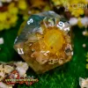 Описание картинки Заклинание Цветения. Монокуб d20 (34 мм.) от Gabrigame_Print по цене 1 090руб | Свободный Рынок Миниатюр - СРМ - изображение - №2