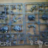 Описание картинки 3х Fellwater Troggoths, на литниках от Black Legion Hall по цене 7 150руб | Свободный Рынок Миниатюр - СРМ - изображение - №2