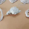 Описание картинки Spider Queen and Swarm. от Серж по цене 1 000руб | Свободный Рынок Миниатюр - СРМ - изображение - №4