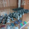 Описание картинки Небольшой улей жуков от Ctrl по цене 15 000руб | Свободный Рынок Миниатюр - СРМ - изображение - №8