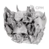 Описание картинки WH40K Террейн - Sanguis Crimson Anomaly - Skull от 3Д печать миниатюр по цене 4 237руб | Свободный Рынок Миниатюр - СРМ - изображение - №2