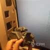 Описание картинки leman russ 1 от Kypodga по цене 1 500руб | Свободный Рынок Миниатюр - СРМ - изображение - №3