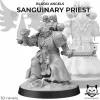 Описание картинки Sanguinary Priest v1 от  по цене 150руб | Свободный Рынок Миниатюр - СРМ - изображение - №2