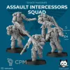 Описание картинки Assault Intercessors Squad от  по цене 300руб | Свободный Рынок Миниатюр - СРМ - изображение - №2
