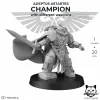 Описание картинки Champion with different weapons от  по цене 100руб | Свободный Рынок Миниатюр - СРМ - изображение - №3