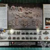Описание картинки Legions Imperialis The Horus Heresy от Vault Boy по цене 20 498руб | Свободный Рынок Миниатюр - СРМ - изображение - №2