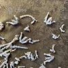 Описание картинки Kill Team: Hand of the Archon от Хитрый гретчин  по цене 600руб | Свободный Рынок Миниатюр - СРМ - изображение - №3