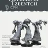 Описание картинки Flamers of Tzeentch 4 шт от Studio Cockatoo по цене 100руб | Свободный Рынок Миниатюр - СРМ - изображение - №2