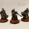 Описание картинки Bladeguard veteran squad + покрас от No1se knight по цене 850руб | Свободный Рынок Миниатюр - СРМ - изображение - №4