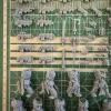 Описание картинки Primaris Intercessors от Recruiter по цене 700руб | Свободный Рынок Миниатюр - СРМ - изображение - №2