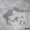 Описание картинки Deathmaster Crixxit от Бруталити по цене 200руб | Свободный Рынок Миниатюр - СРМ - изображение - №2