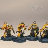 Описание картинки Bladeguard veteran squad + покрас от No1se knight по цене 850руб | Свободный Рынок Миниатюр - СРМ - изображение - №2