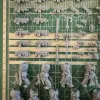 Описание картинки Primaris Intercessors от Recruiter по цене 700руб | Свободный Рынок Миниатюр - СРМ - изображение - №2