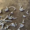 Описание картинки Kill Team: Hand of the Archon от Хитрый гретчин  по цене 600руб | Свободный Рынок Миниатюр - СРМ - изображение - №4