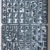 Описание картинки Primaris Incursors/Infiltrators от Casey Moon по цене 2 500руб | Свободный Рынок Миниатюр - СРМ - изображение - №3
