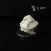 Описание картинки Сквигогриб от Greed's storehouse по цене 400руб | Свободный Рынок Миниатюр - СРМ - изображение - №2