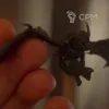 Описание картинки Gargoyles от  по цене 700руб | Свободный Рынок Миниатюр - СРМ - изображение - №2