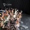 Описание картинки Dryads от User30880 по цене 6 000руб | Свободный Рынок Миниатюр - СРМ - изображение - №3