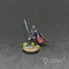 Описание картинки Star Wars Empire army от Satorian по цене 7 300руб | Свободный Рынок Миниатюр - СРМ - изображение - №3