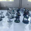 Описание картинки Tohaa Full Army от Sareth Krann по цене 35 000руб | Свободный Рынок Миниатюр - СРМ - изображение - №2